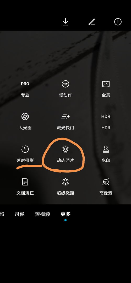 安卓系统live怎么拍,轻松拍出精彩瞬间