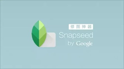 安卓系统的修图,轻松打造完美照片