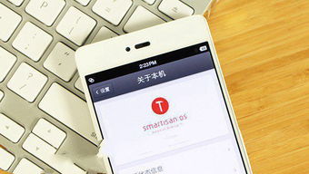 锤子怎么刷安卓系统,轻松刷入安卓新系统