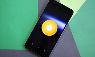 小米能安装安卓系统