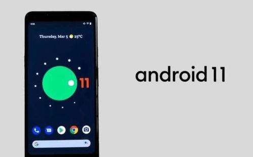 安卓系统有11吗,引领智能生活新篇章