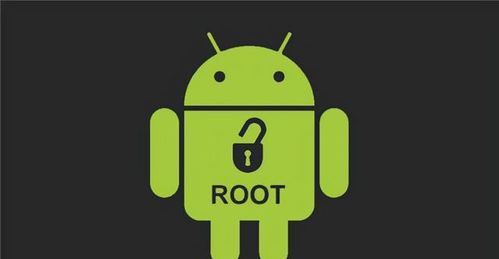 没有内核的安卓系统,探索轻量级移动操作系统的无限可能