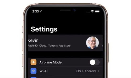 苹果系统赠送安卓皮肤,独家定制皮肤盛宴