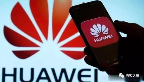 斑马系统支持安卓,智能出行新体验